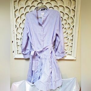 Lavender Pinstripe Shirt Dress NWT Angela Plus Best Fit Lg/XL